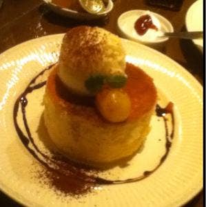 BLUE FIR TREEの写真