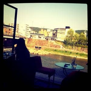 エフィッシュの写真