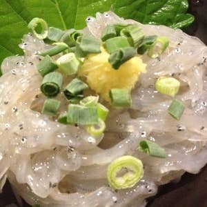 芥子の坊>