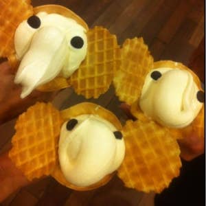 象の鼻カフェの写真