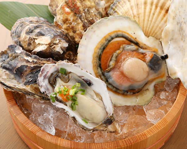 大魚 おおうお 恵比寿 魚介 海鮮料理 Retty
