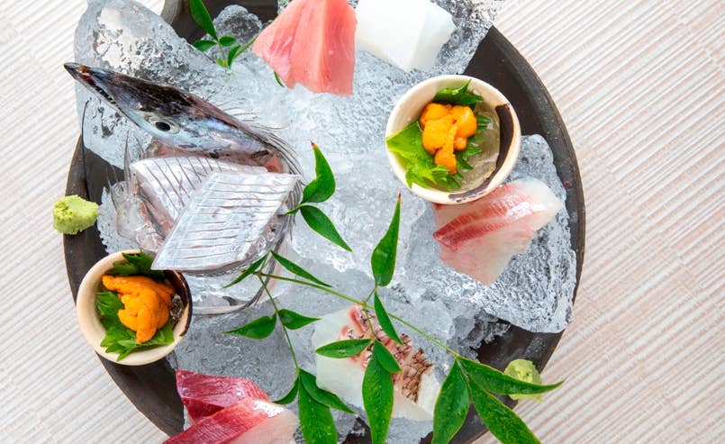 和歌山の食事 和歌山グルメ｜ときと | 炉端焼きが最高 👇店舗詳細 ✓ 他の