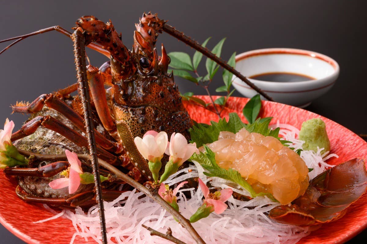 ふるさと納税 742 倭庵黒石 とらふぐフルコース（1名様分食事券