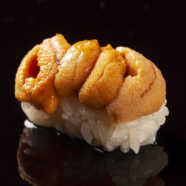 お任せコース13,500円-やまけん-