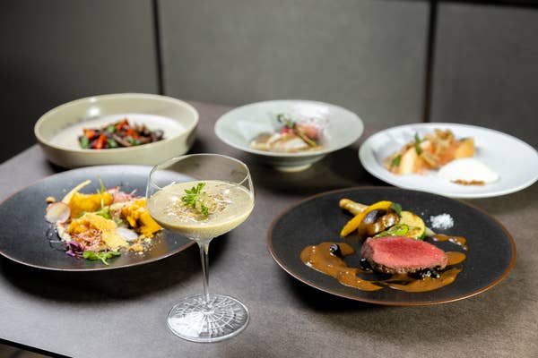 【貸切プラン・プリフィクスコース】魚・肉料理Wメインの全6品