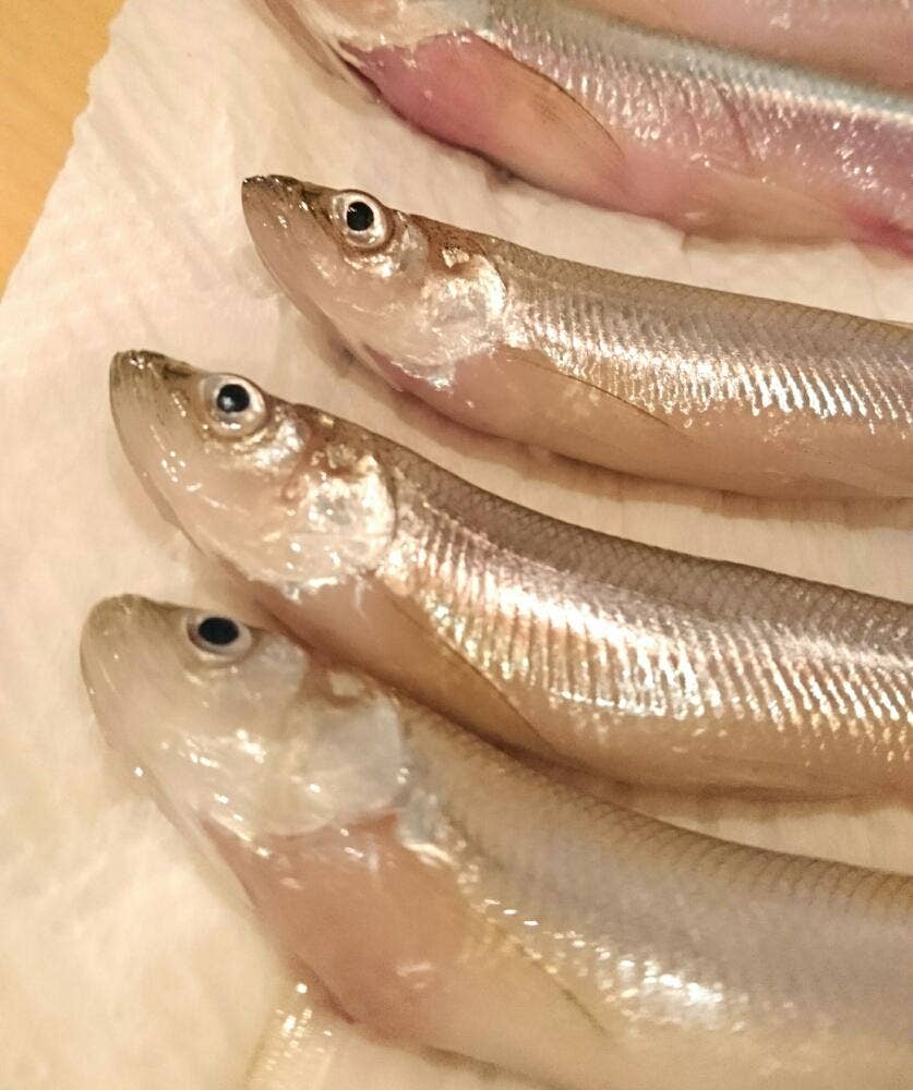 釧路食堂|CLUB JT 喫煙所マップ
