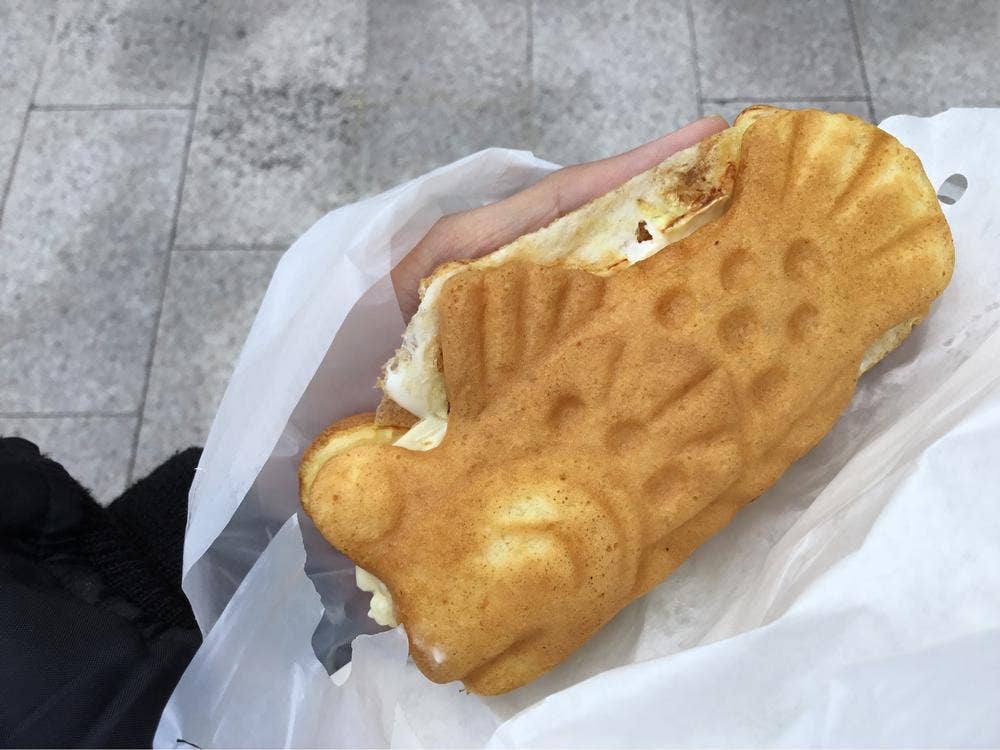 大割引 17846632.jpg その他
