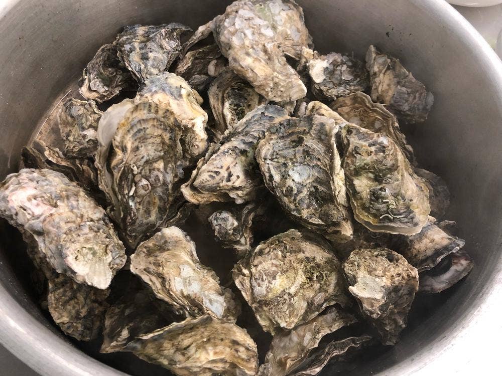 ３日以内に発送します ★ 焼き鳥台★海鮮魚介★牡蠣小屋★掃除よりも買い替え★LP お待たせしました‼️ 7月1日（土）より海鮮焼き開始します