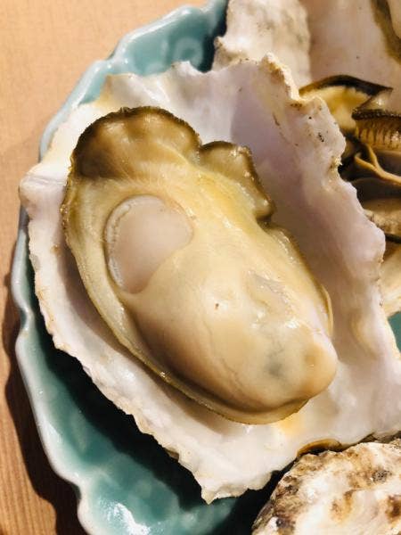 萬八屋 愛知県田原市伊良湖町 丼もの 定食 旅館 Yahoo ロコ