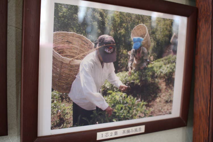 スリランカで撮影された、茶摘みをしている風景の写真が飾られていました。