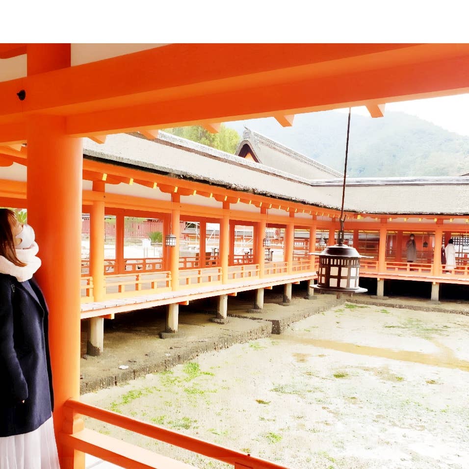 佐世保 らーめん砦 佐世保本店 Ramen Toride 口コミ一覧 Retty